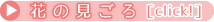 花の見ごろ