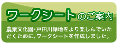 「公園ずかん」のご案内