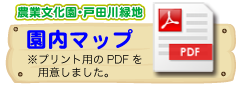 プリント用園内マップ