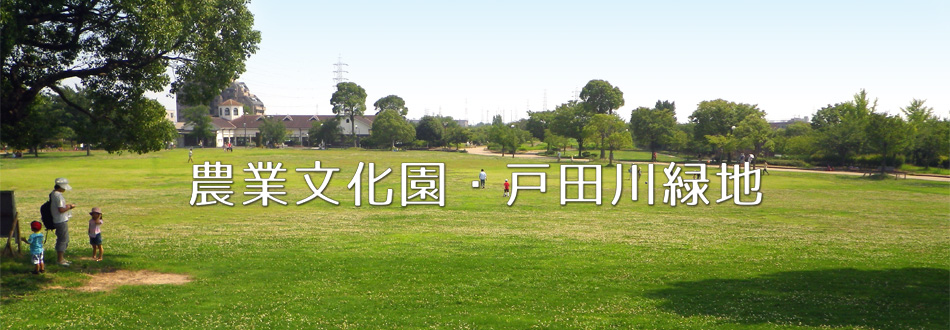 芝生広場