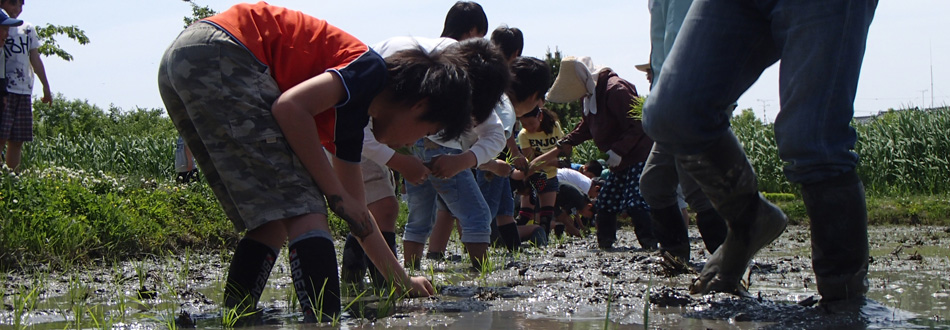 田植イベント