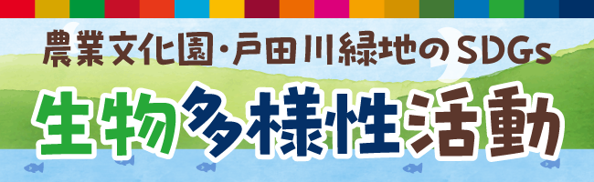 生物多様性活動