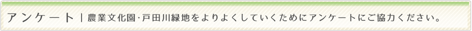 アンケート